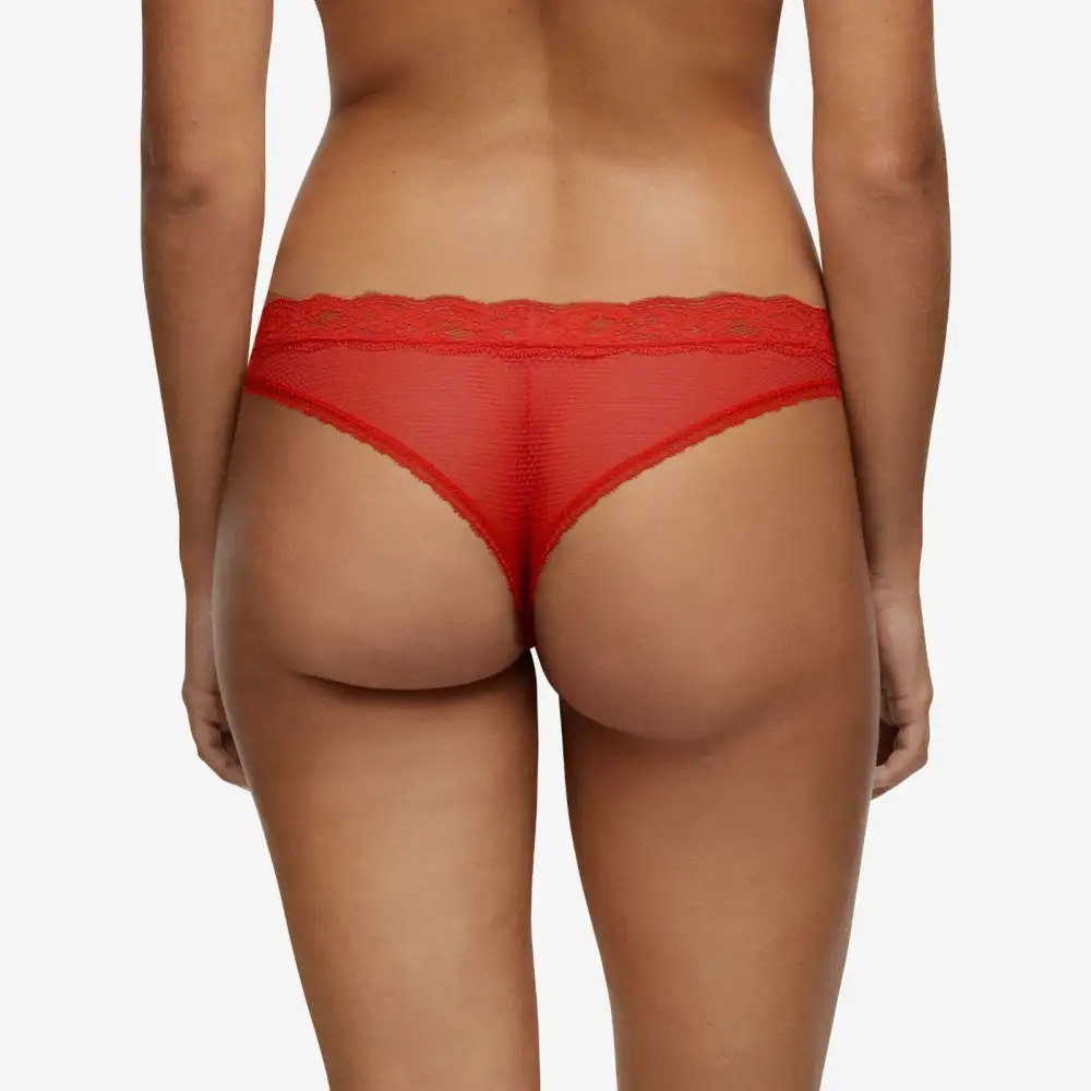 Women's Low Rise Seamless Floral Lace Mesh Tanga Panty