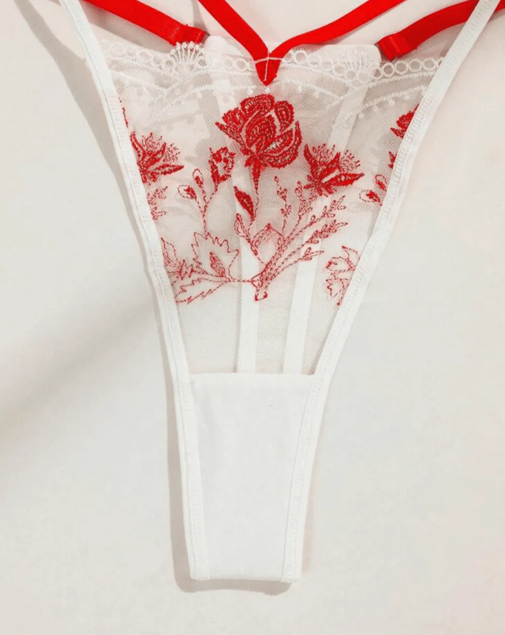 Refined Embroidered Corset Lingerie Set