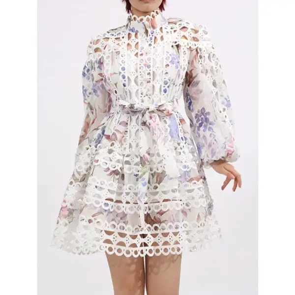 Lace Eyelet Mini Dress with Balloon Sleeves