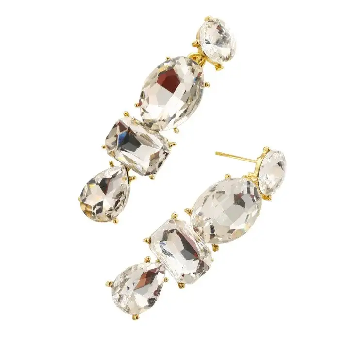 Distinctive Refined Statement Earrings
