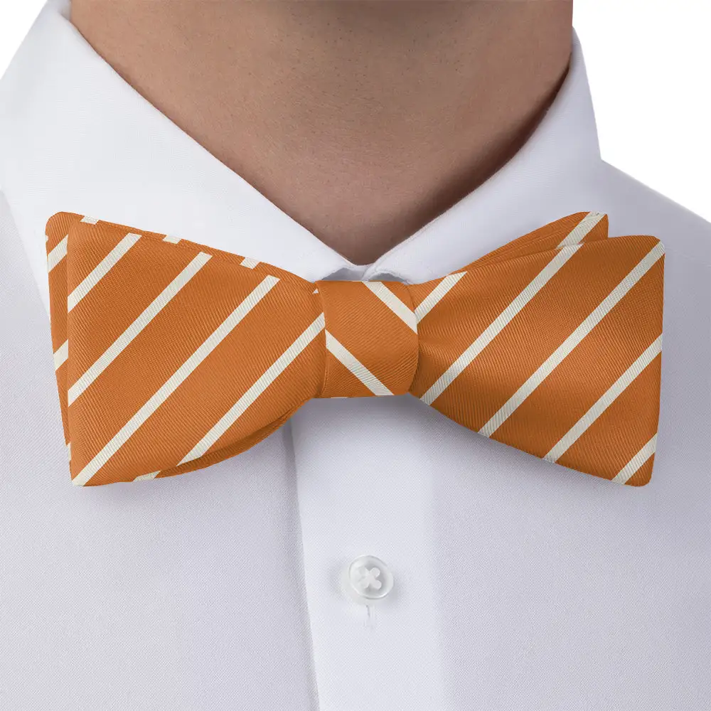 Contemporary Striped Bow Tie
