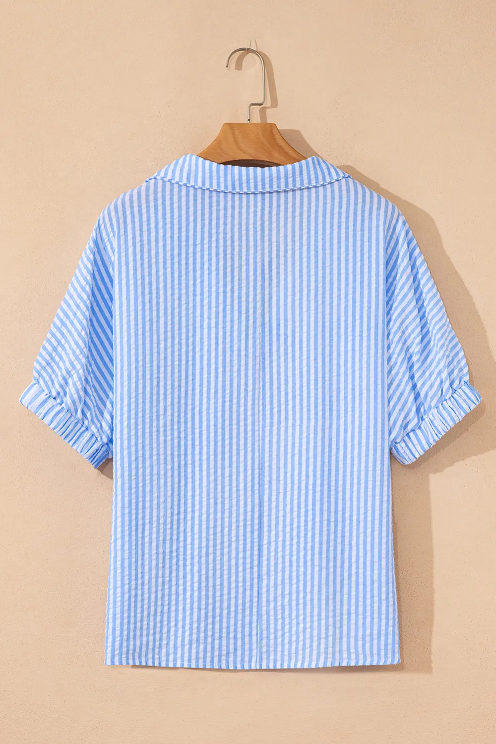 Sky Blue Striped Print Contrast Blouse