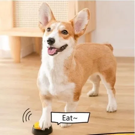 Recordable Pet Sound Button Interactive Dog Toy Bite Resistant Non-Toxic Puppy Training Portable Pet Plaything