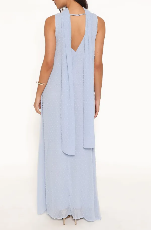 Sleeveless V-Neck Maxi Dress