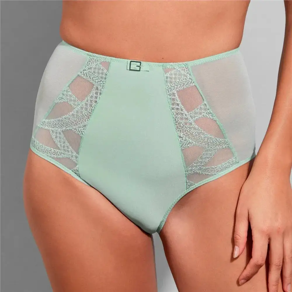 Women's Embroidery Mesh Cutout Detail Lightweight High Waist Panty