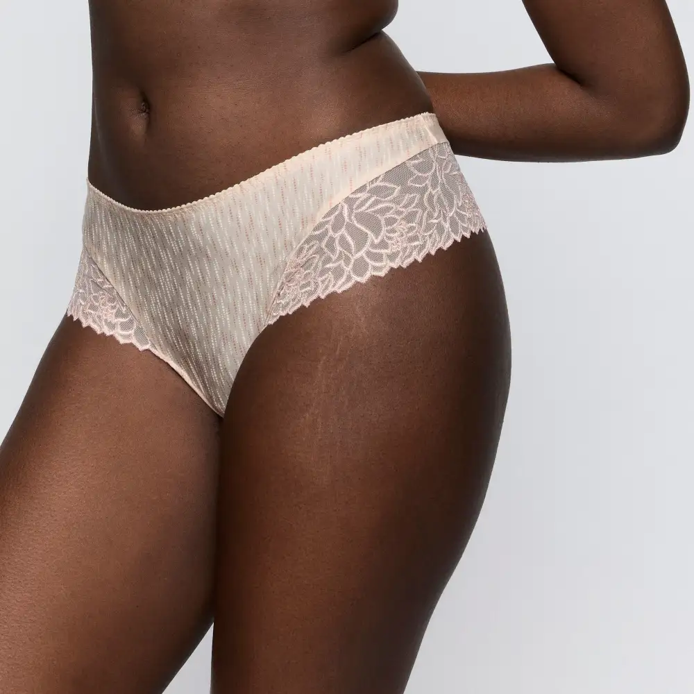 Women's High Cut Lace Mesh Vintage Detail Retro Detail Tanga Panty