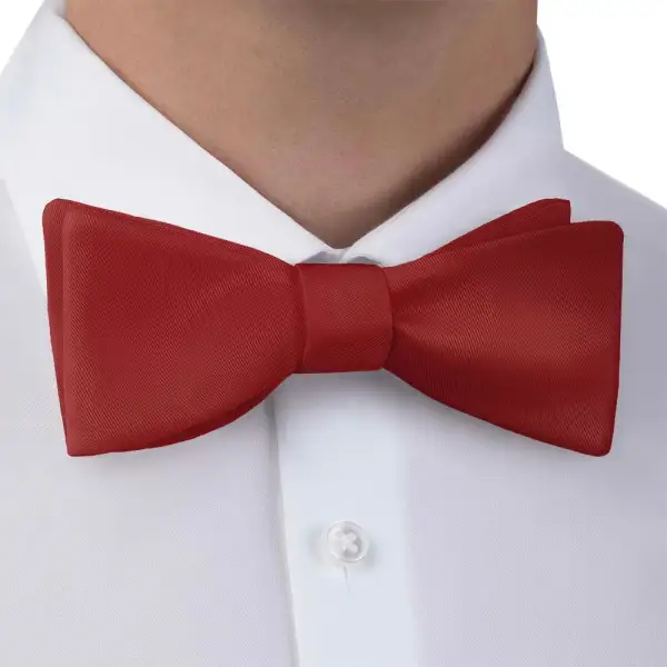 Neat Solid Motif Bow Tie