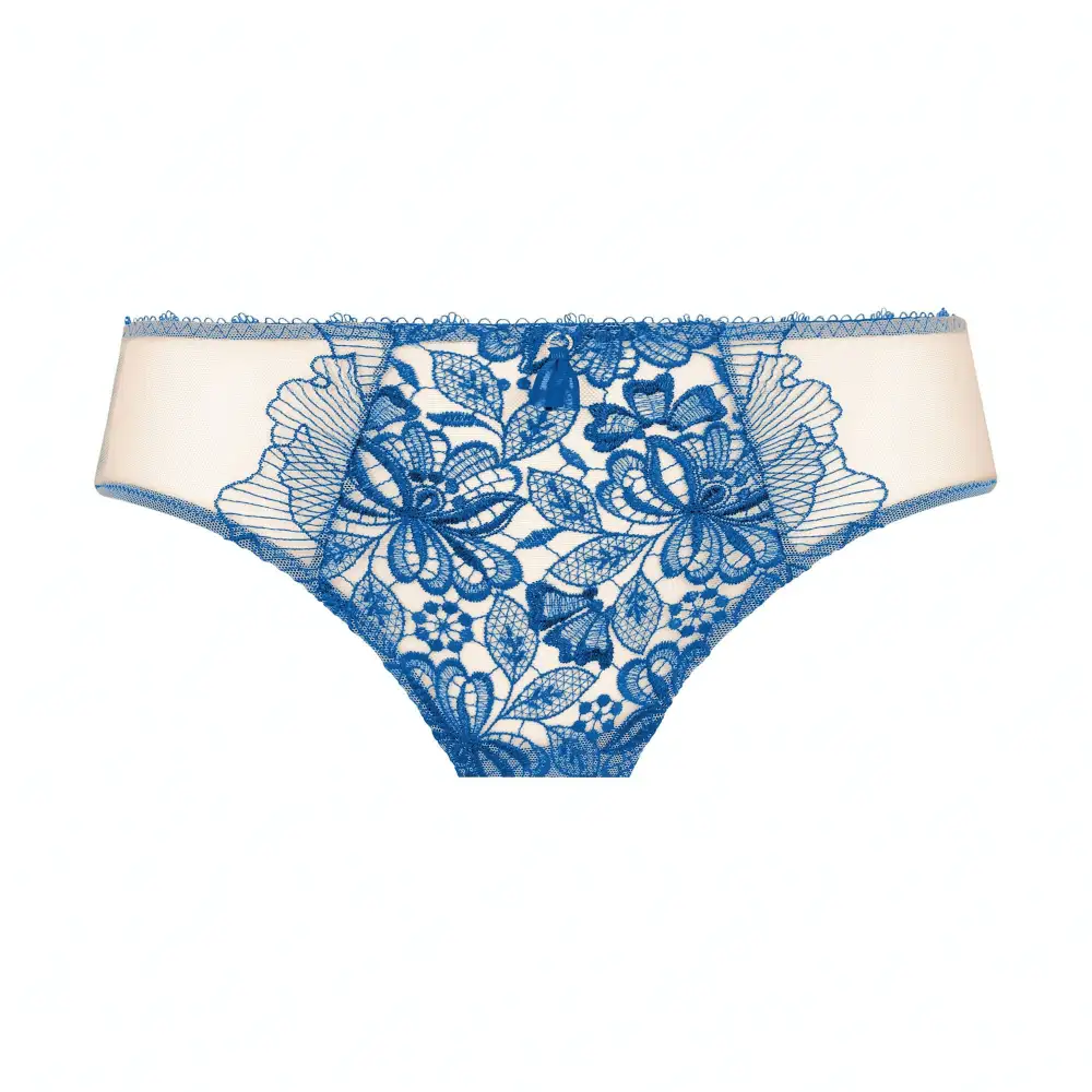 Women's Embroidery Mesh Bikini Panty