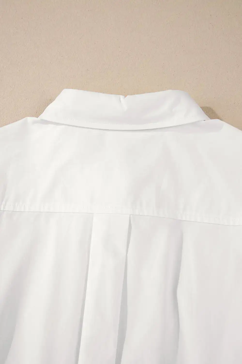 Lace Trim Collared Turn-down Collar Shirt Blouse