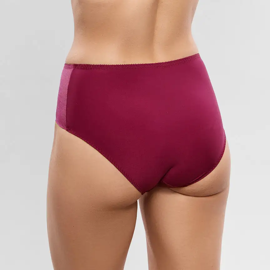 Women's Full Coverage High Waist Elastic Waistband Cotton Gusset Floral Embroidery Mesh Cotton Satin Decorative Bow Soft Fabric Stretch Fit Supportive Fit Brief Panty