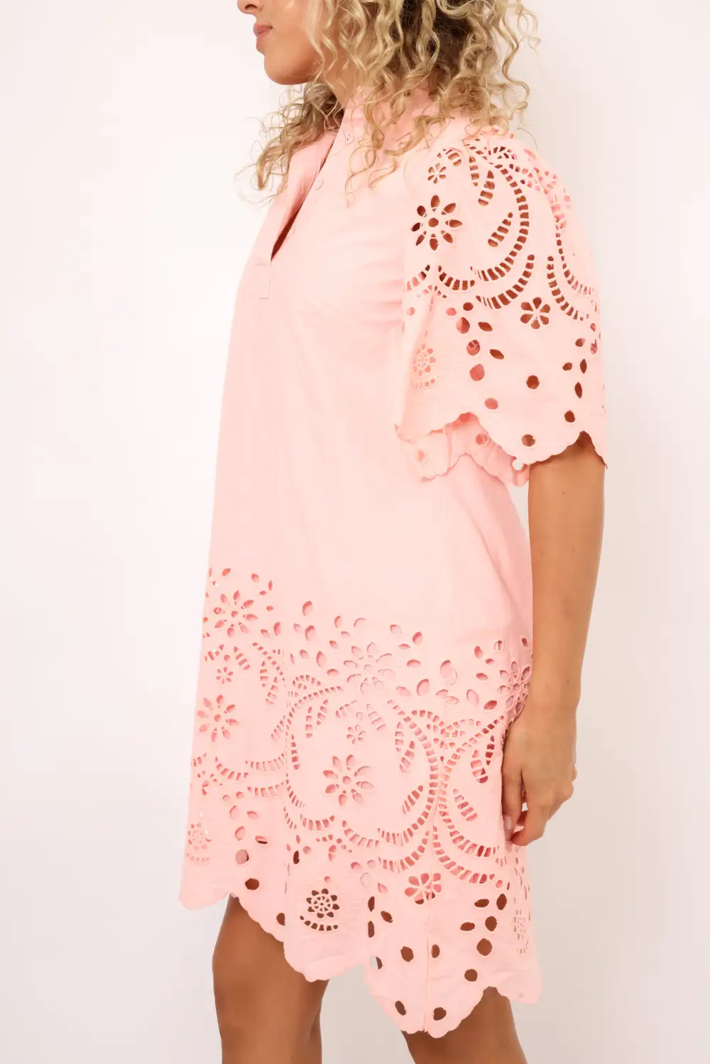 Scallop Embroidered Mini Dress
