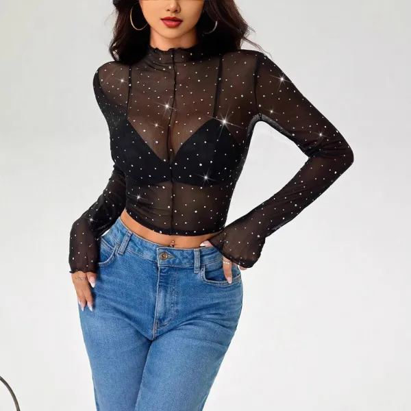Sequin Mesh Long Sleeve Blouse