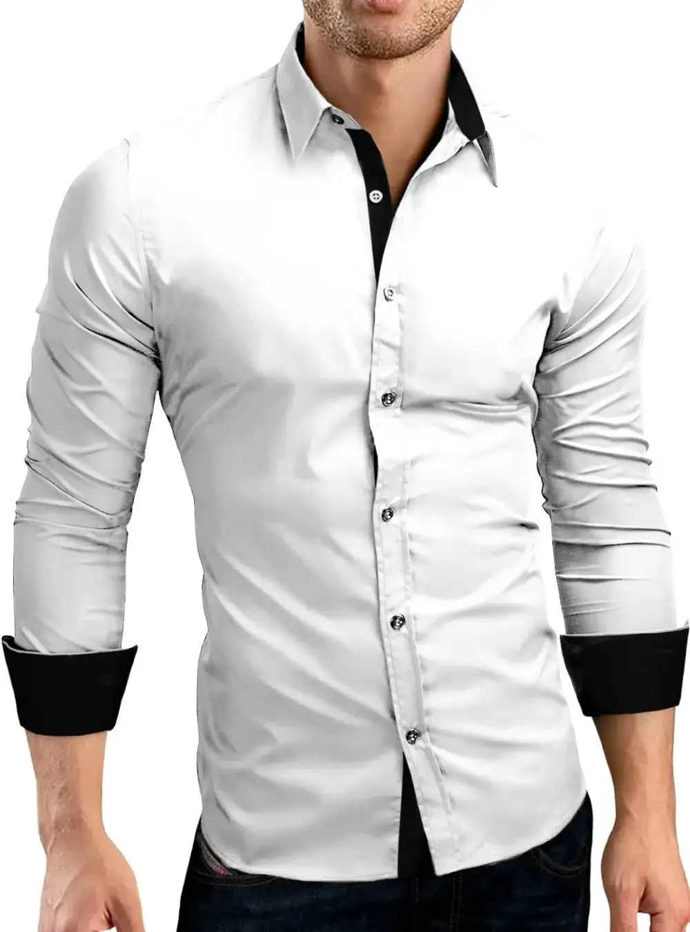 Polished Long Sleeve Slim Fit Casual Dress Shirt