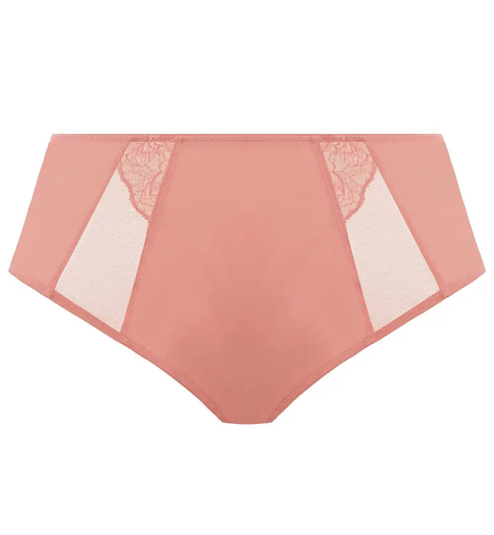Everyday High-Waist Lace Mesh Full-Coverage Brief Panty