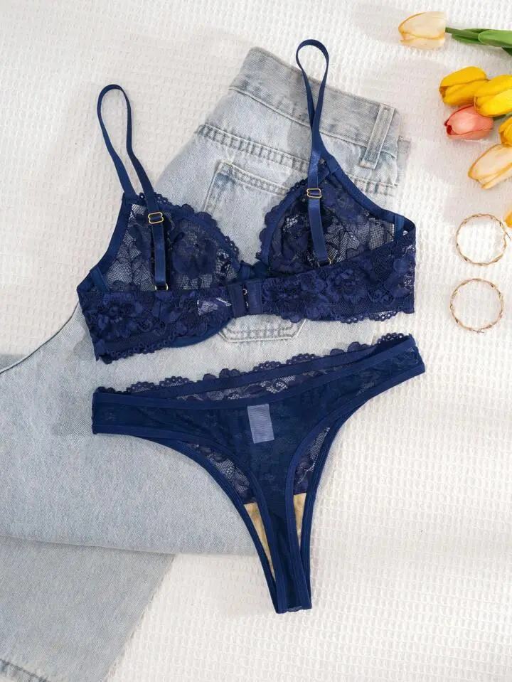 Delicate Lace Sheer Bra And Panty Set