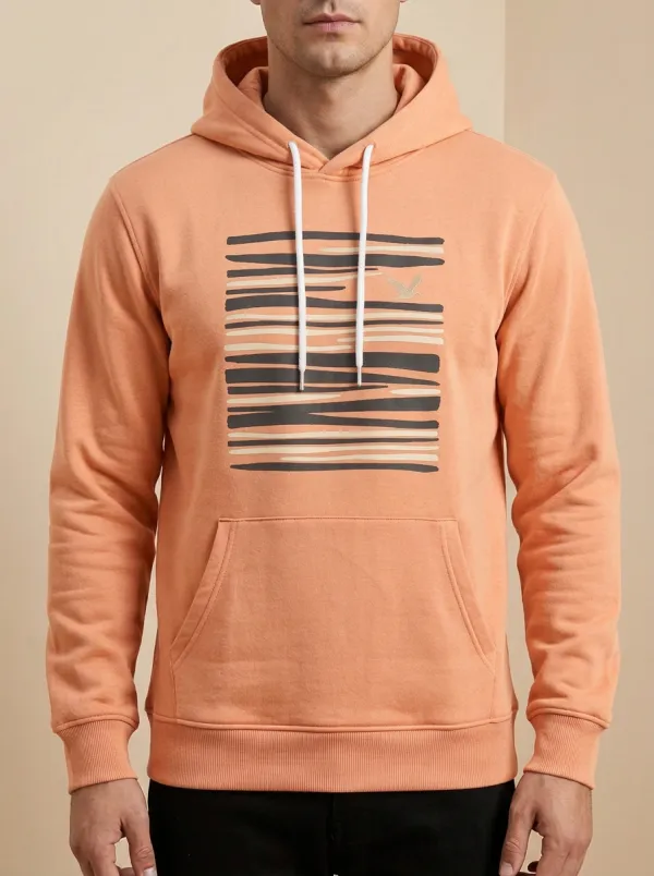 Men's Abstract Bird Stripe Graphic Print Hoodie