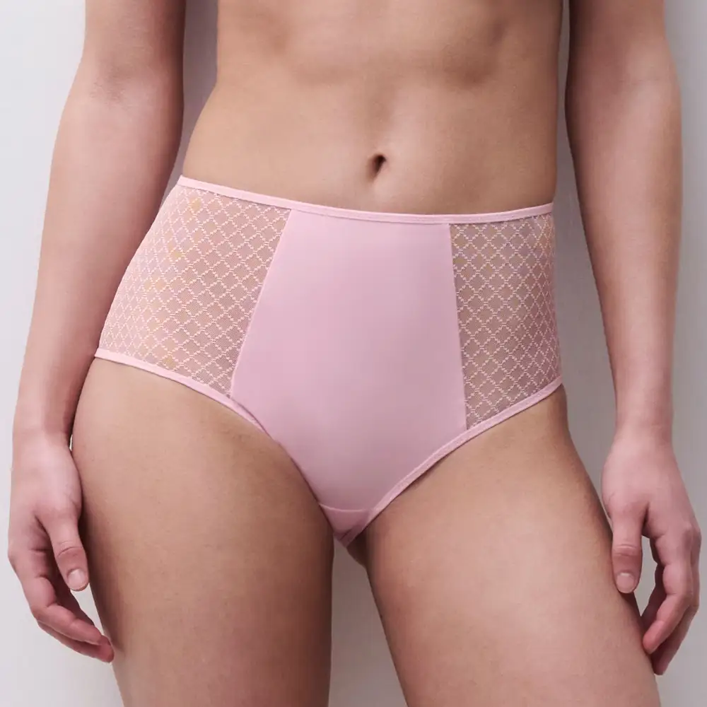 Women's Full Coverage Cotton Gusset Lace Microfiber Cotton Supportive Fit Brief Panty