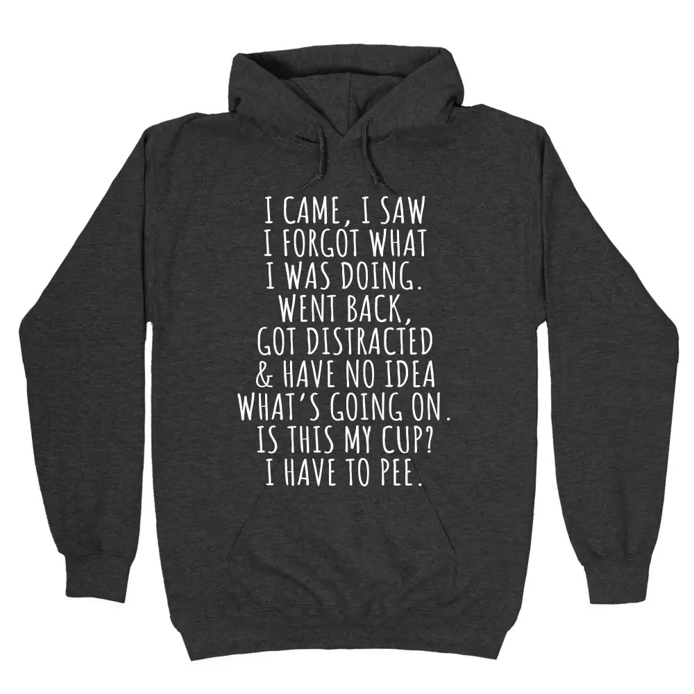 Simple Pet Pullover Hoodie