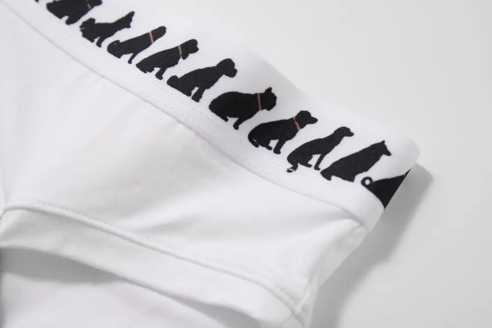 Playful Pattern Modal Panty