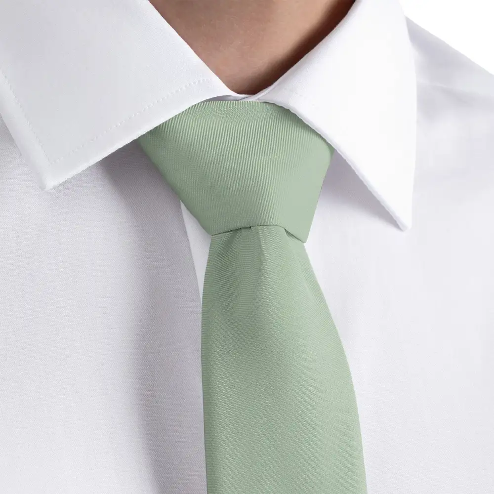 Refined Solid Accent Necktie