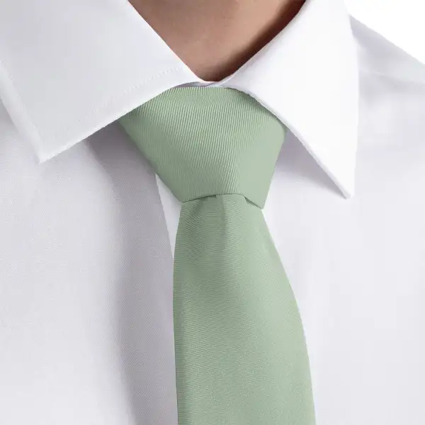 Refined Solid Accent Necktie