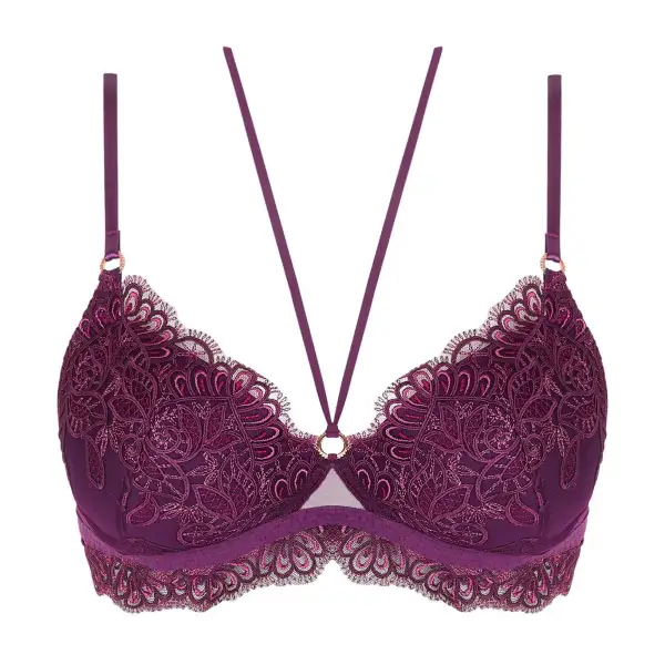 Women's Underwire Spacer Molded Padded Adjustable Straps Embroidery Microfiber Sheer Detail Bra