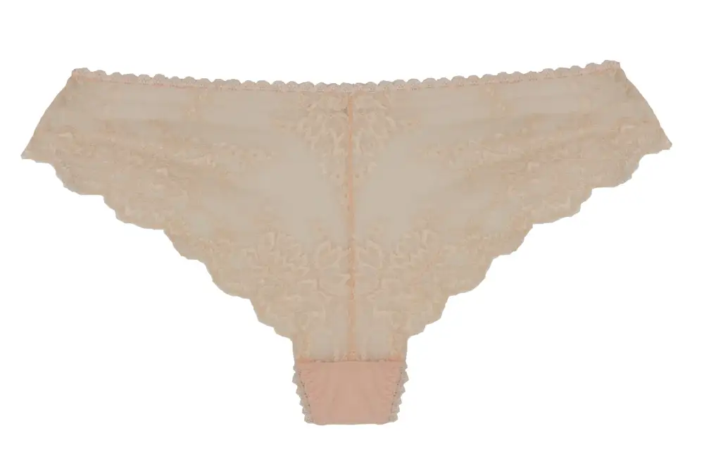 Modern Lace Brazilian Panties