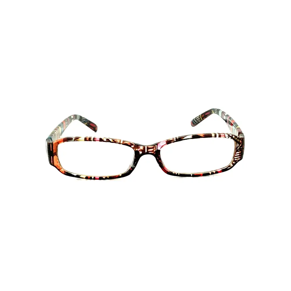 Aztec Print Reading Glasses with Matching Case