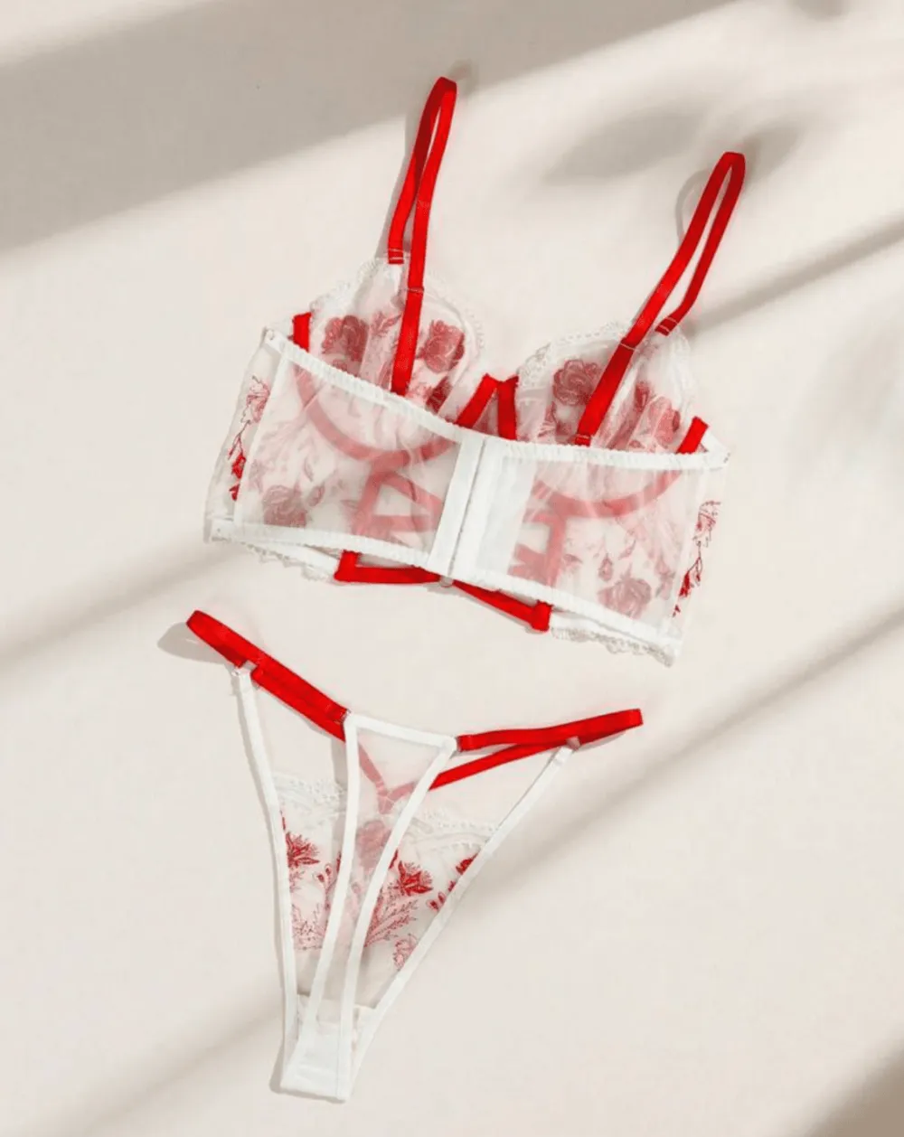 Refined Embroidered Corset Lingerie Set