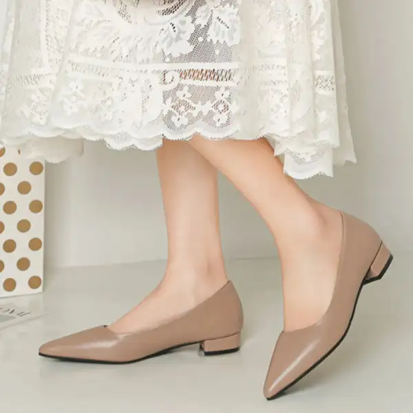Pointed Toe Low Heel Pump