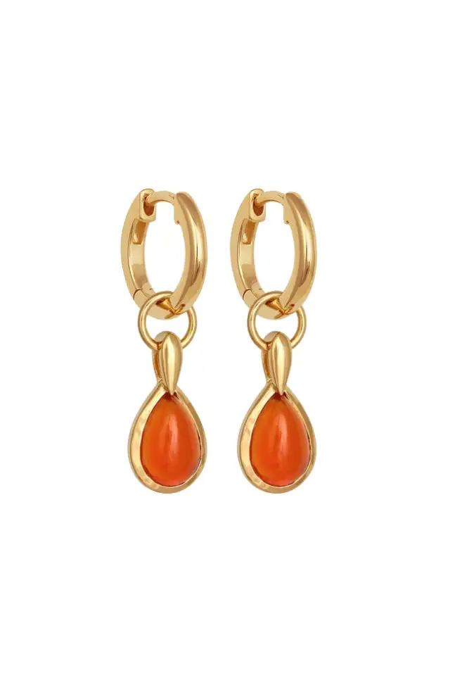 Carnelian Pendant Earrings