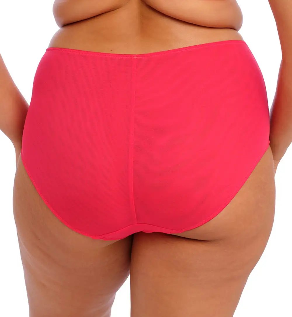 High-Waist Mesh Embroidered Full-Coverage Brief Panty