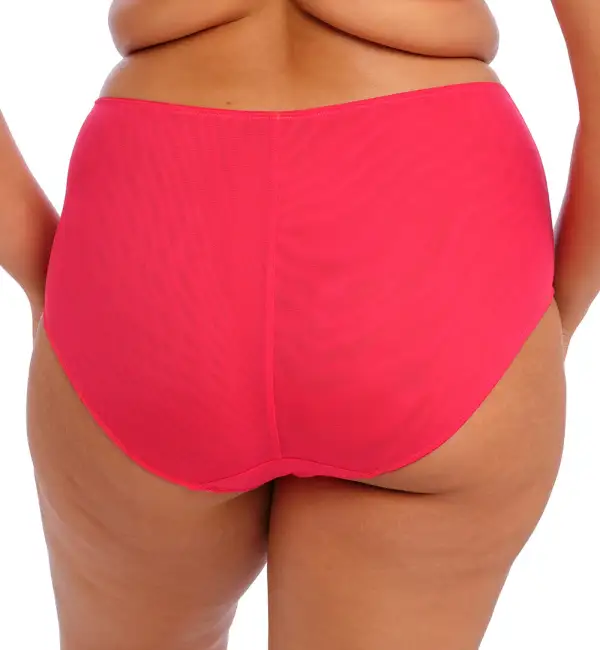 High-Waist Mesh Embroidered Full-Coverage Brief Panty