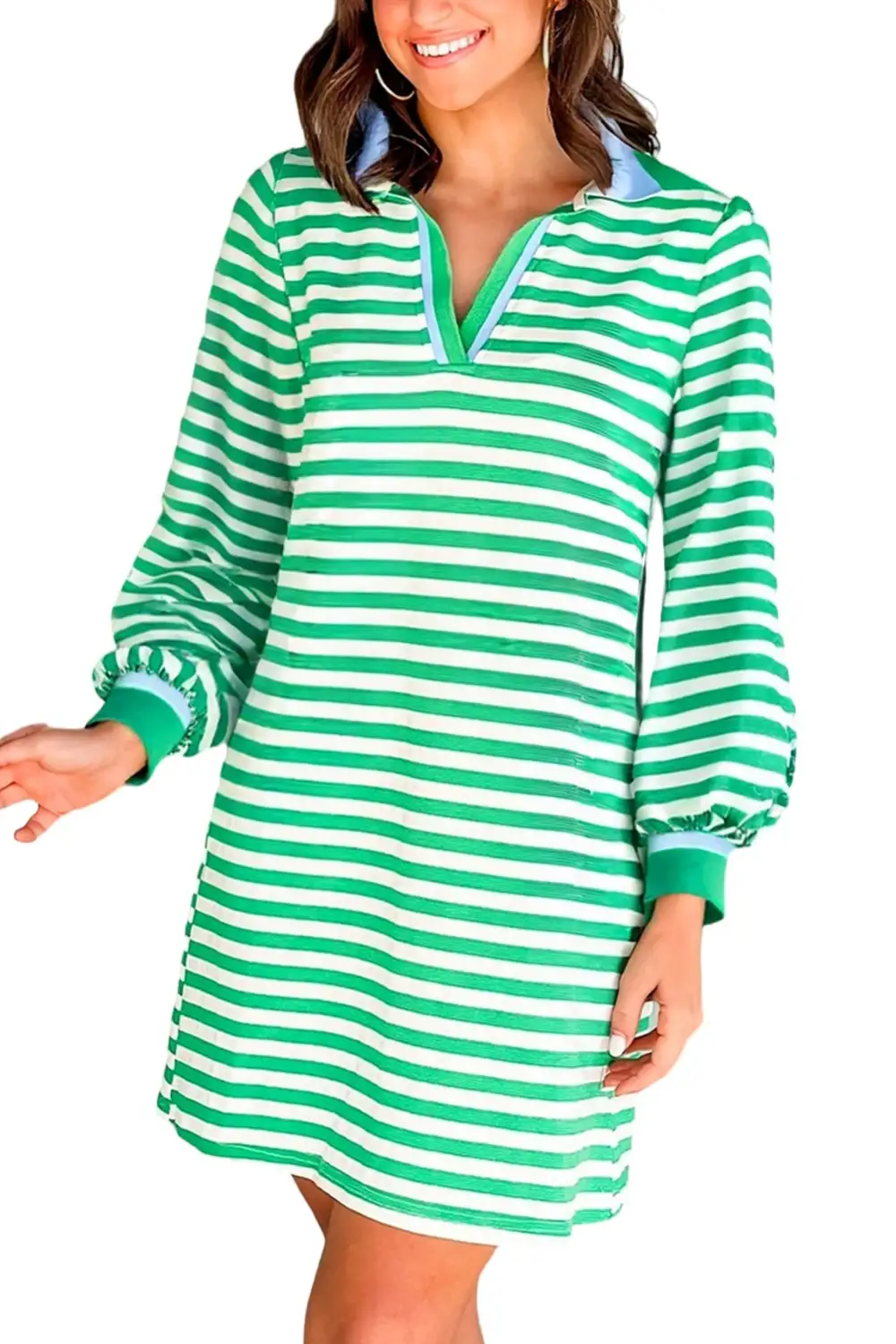 Striped Contrast Trim Collared Mini Dress
