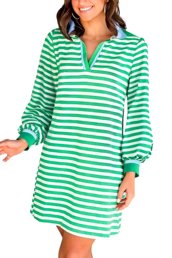 Striped Contrast Trim Collared Mini Dress