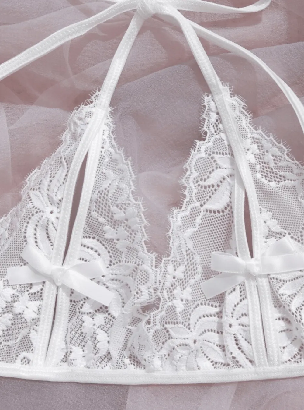 Refined Lace Mesh Lingerie Set