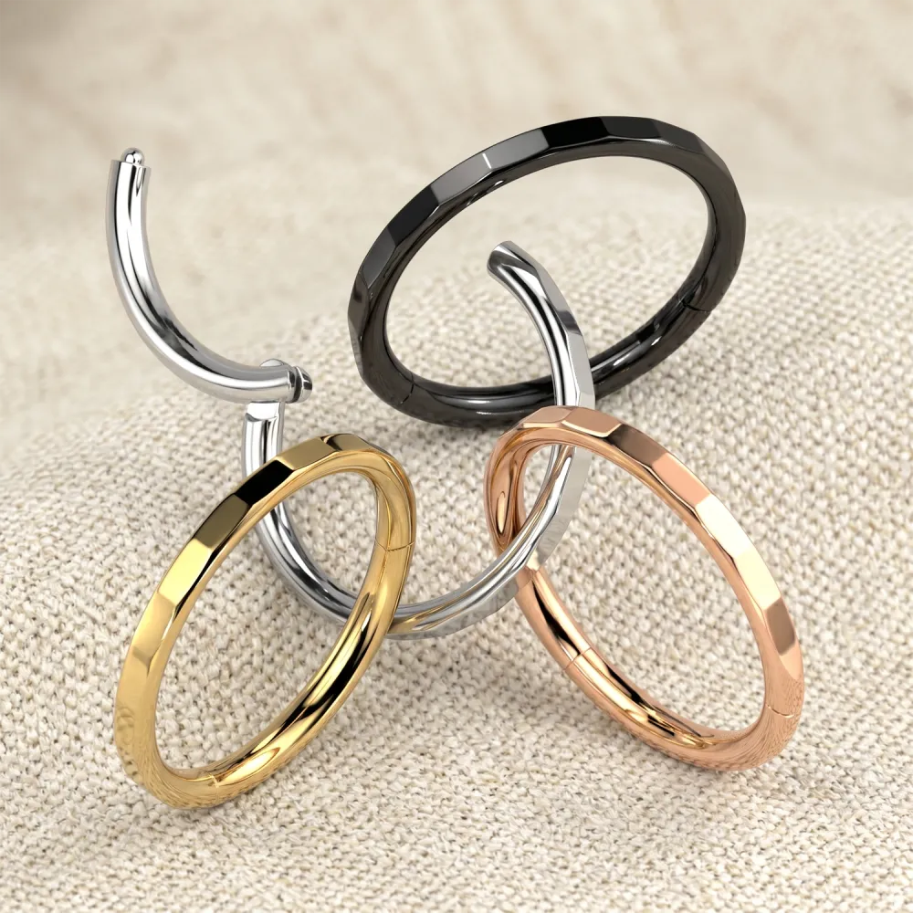 Modern Titanium Hinged Hoop Ring