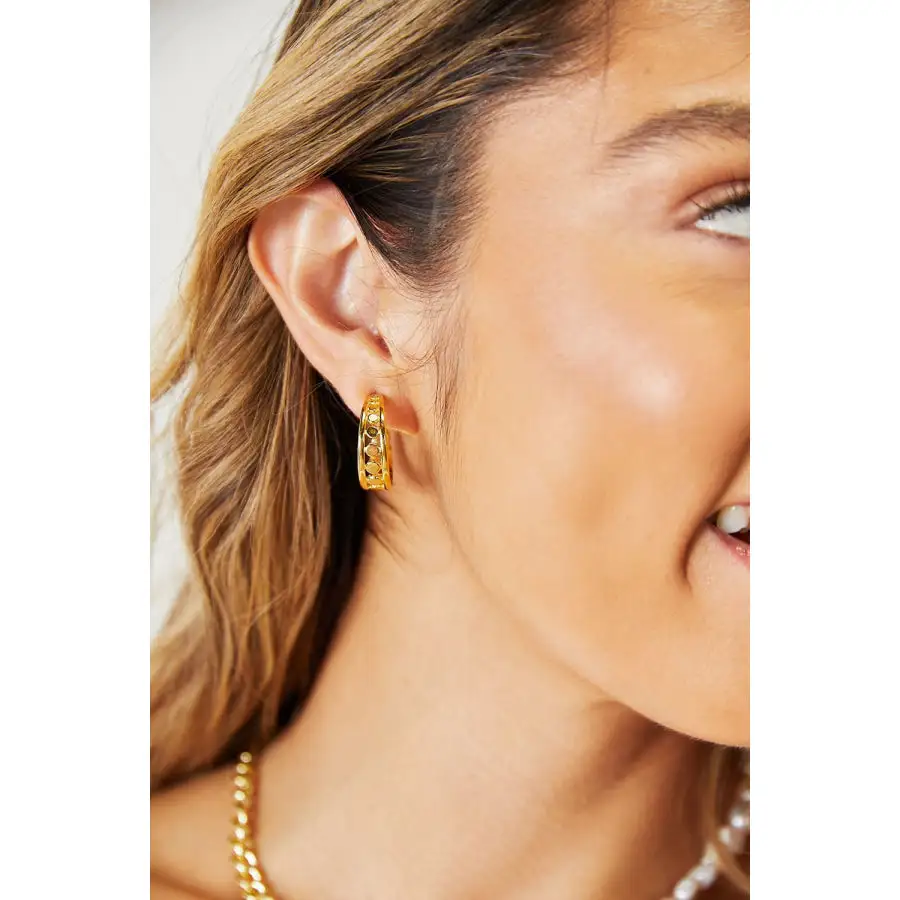 Adored Stainless Steel K Gold Plated Earrings