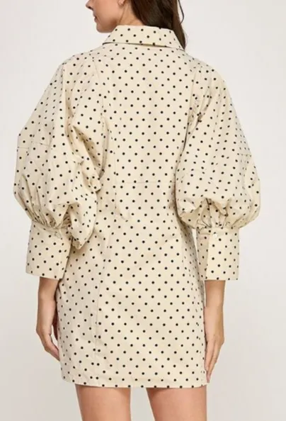 Cafe Balloon Sleeve Dress
