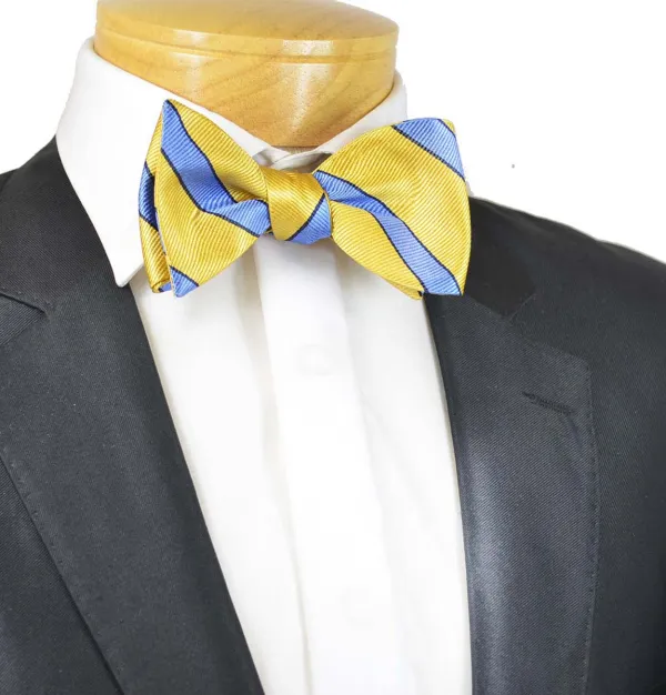 Event-Ready Striped Silk Bow Tie
