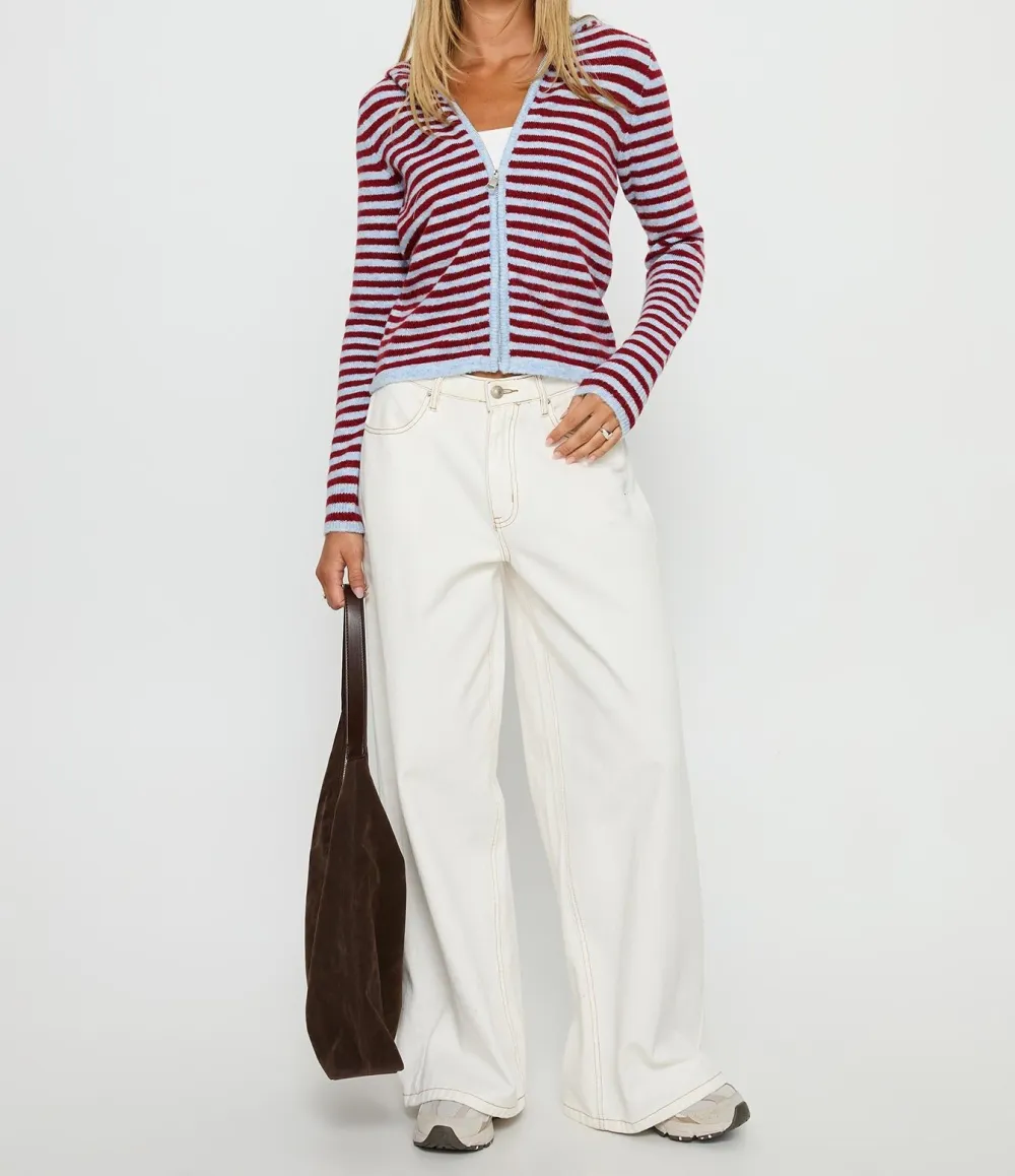 Blue and Red Striped Zip-Up Knit Hoodie