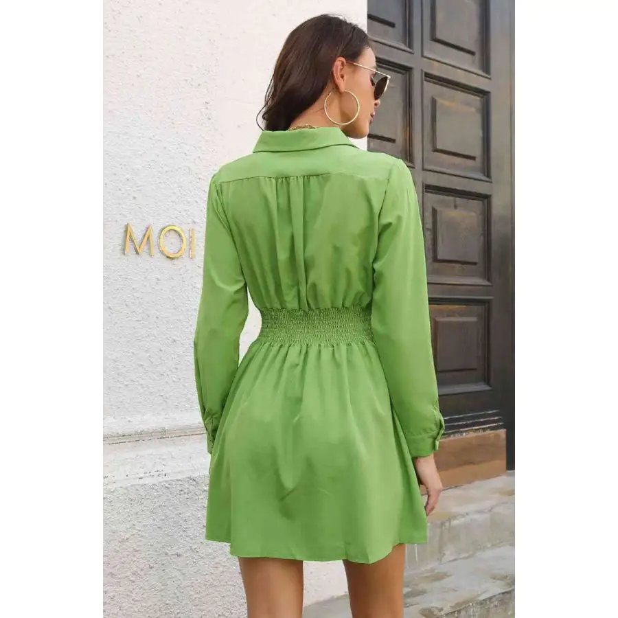 Johnny Collar Smocked Waist Long Sleeve Mini Dress