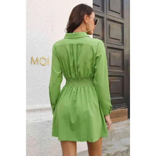 Johnny Collar Smocked Waist Long Sleeve Mini Dress