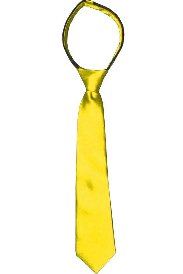 Contemporary Solid Boys' Zipper Tie