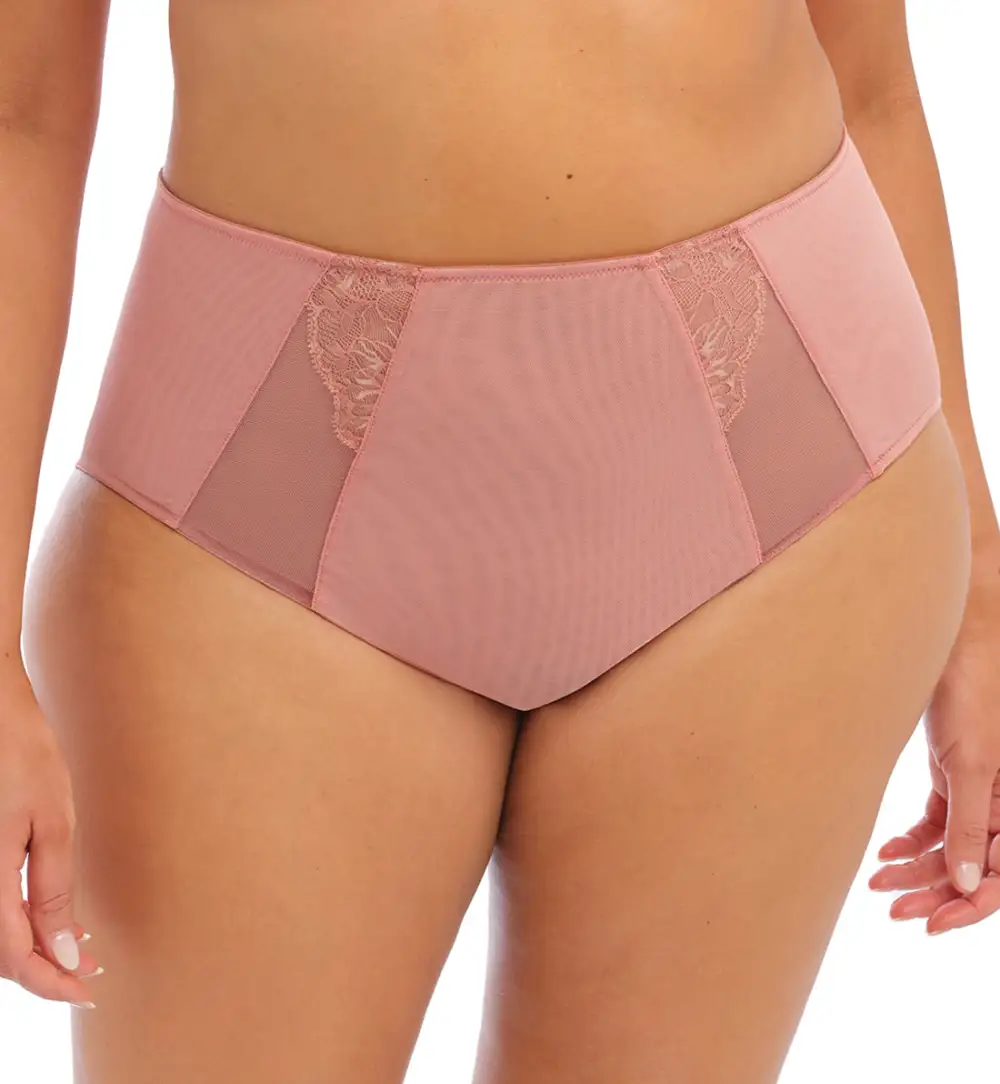 Everyday High-Waist Lace Mesh Full-Coverage Brief Panty