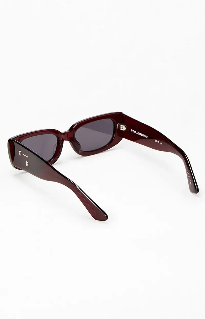 Colour Range Burgundy Y2K Sunglasses