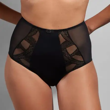Women's Embroidery Mesh Cutout Detail Lightweight High Waist Panty