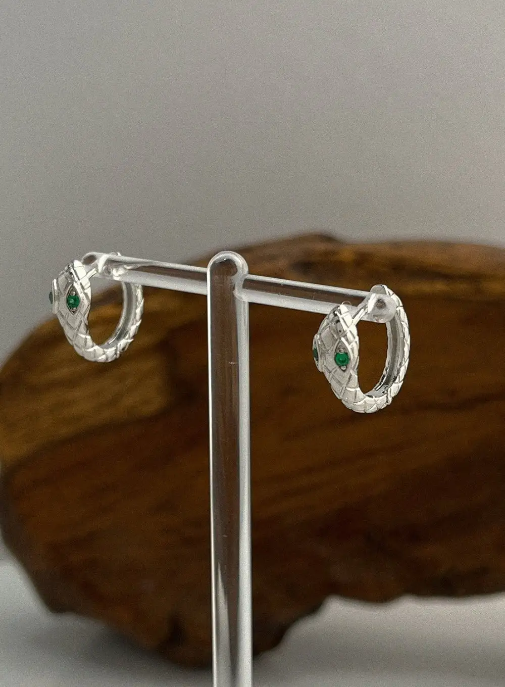 Surgical-Steel Ringe Earrings