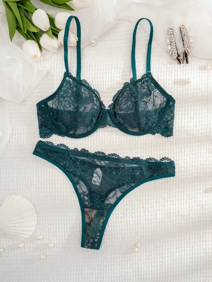 Delicate Lace Sheer Bra And Panty Set