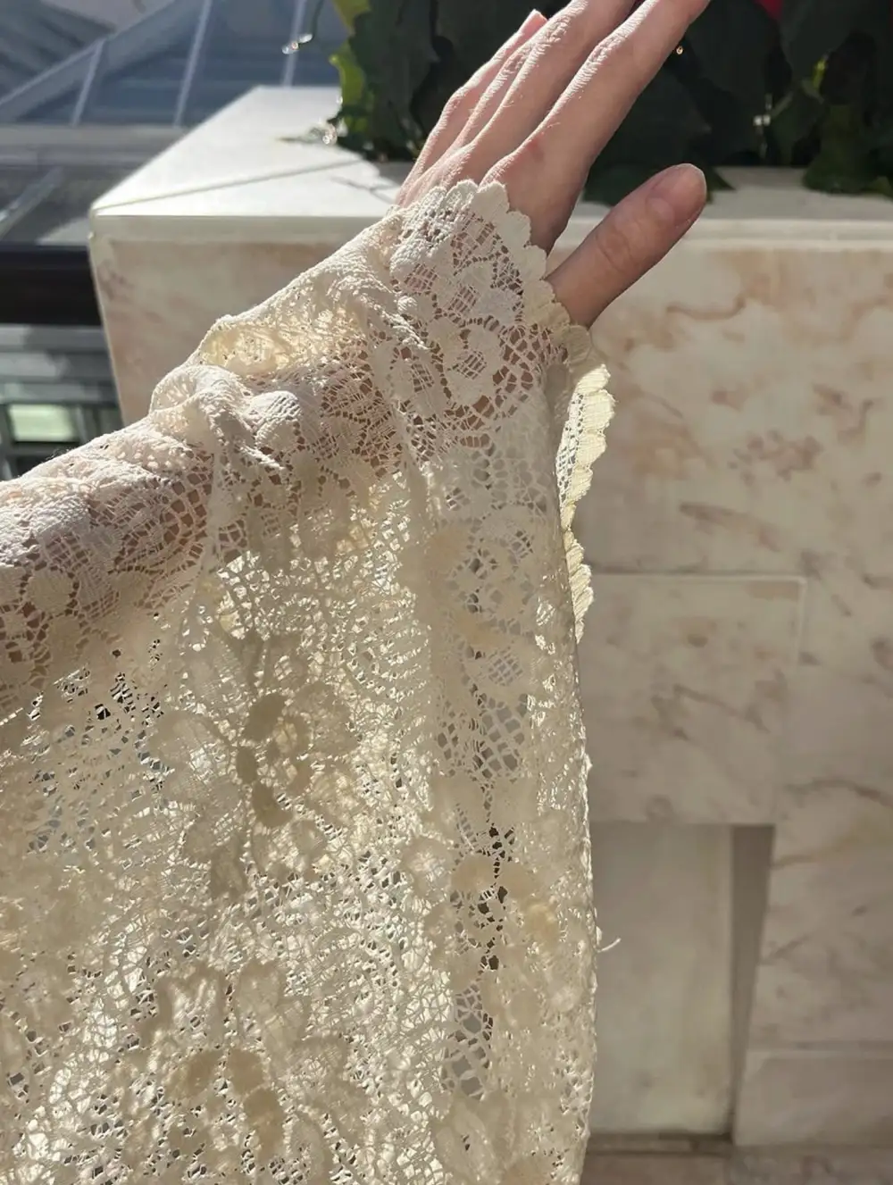 Lace Flare Sleeve Design Top